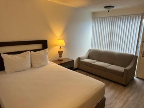 Studio with Sofa Bed interior